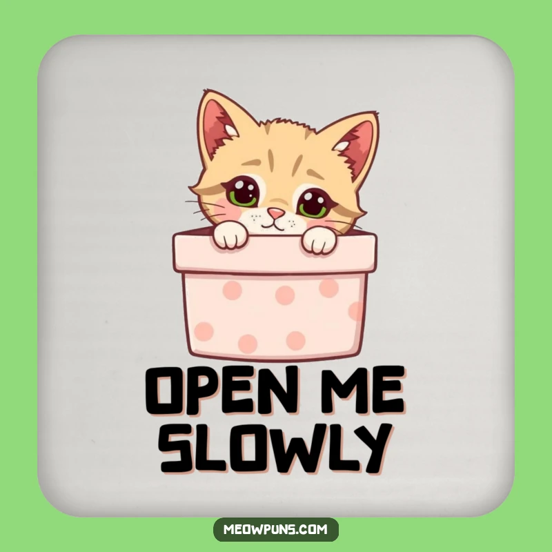 Funny Curious Cat Gift Box Coasters (Set of 4) - Hilarious Protection for Your Surfaces