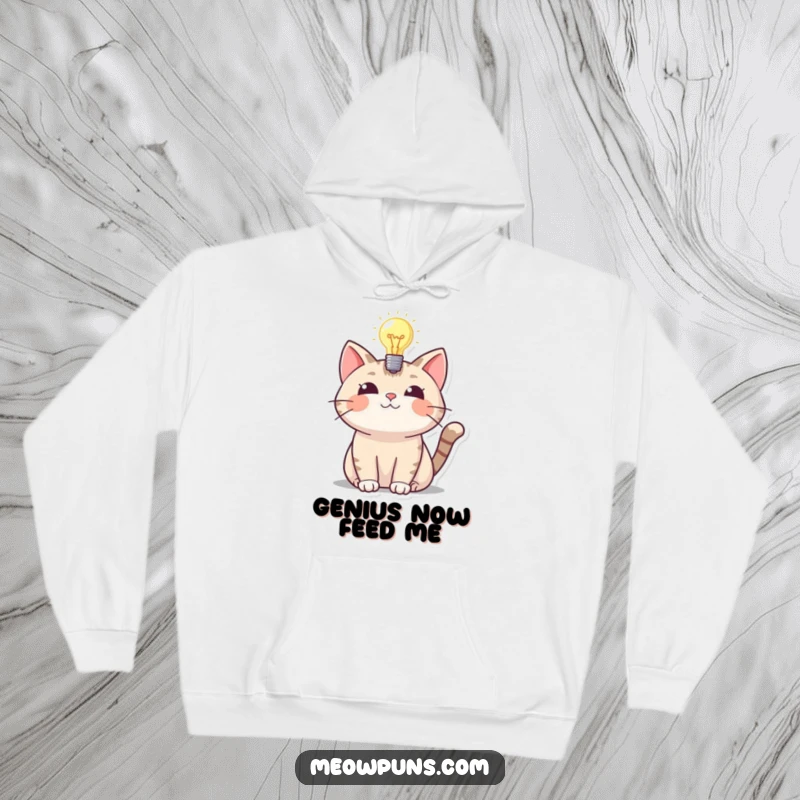 Funny hoodie depicting a cat with a bright lightbulb glowing overhead, signifying a funny and insightful moment.